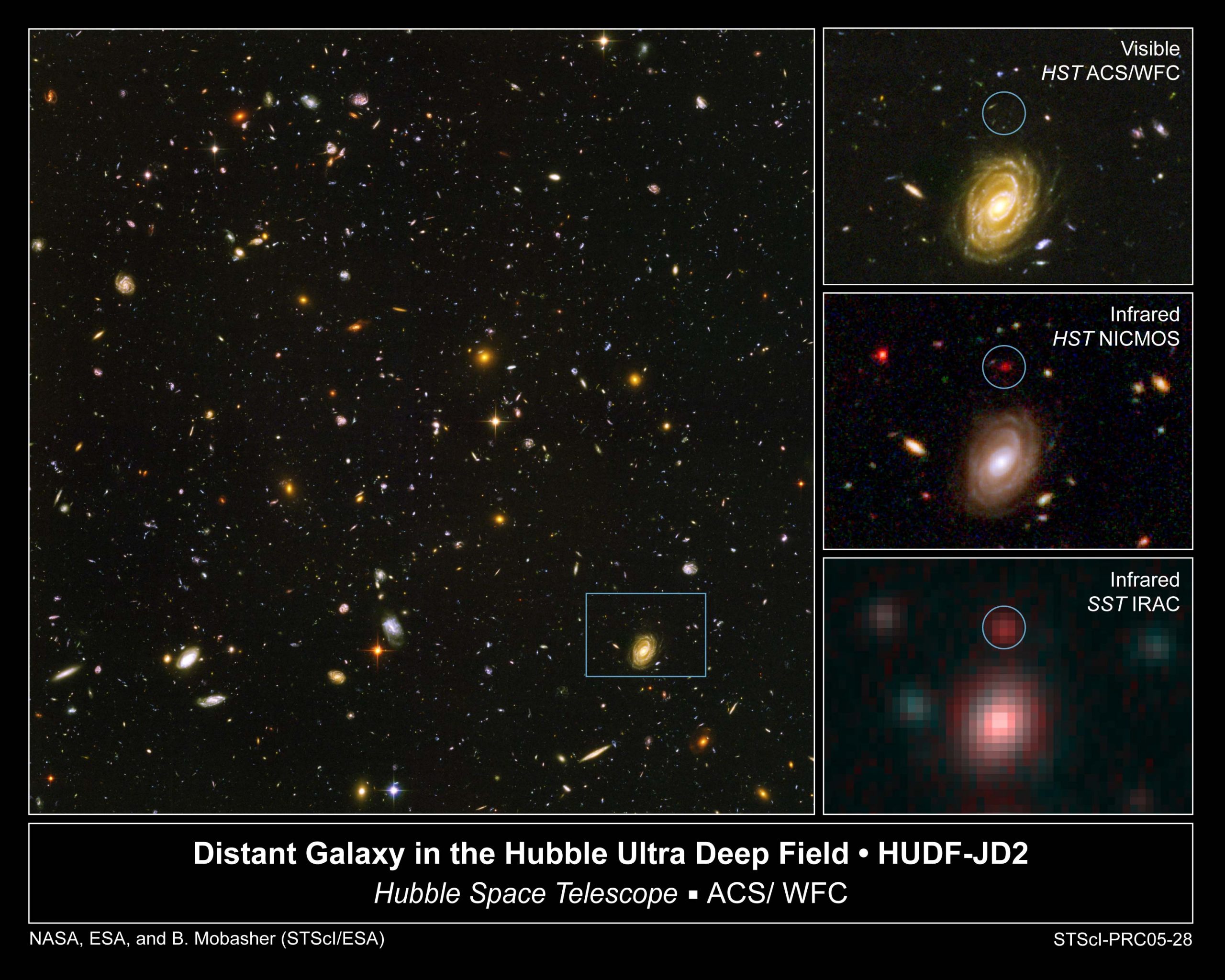 Wycinek tzw. „Ultra Głębokiego Pola Hubble’a” (obraz po lewej stronie), widziany w trzech różnych zakresach promieniowania (seria mniejszych obrazów po prawej). Dwie grafiki (górna i środkowa) pochodzą z Kosmicznego Teleskopu im. Hubble’a. Uzyskano je w zakresie widzialnym i bliskiej podczerwieni (435-850 nanometrów; górny obraz) i samej podczerwieni (1100-1600 nanometrów; środkowy obraz). Dolna grafika to efekt pracy obserwatorium Spitzer, kosmicznego teleskopu pracującego wyłącznie w podczerwieni. Obraz ze „Spitzera” powstał w zakresie 3600-8000 nanometrów i najbliżej mu do Kosmicznego Teleskopu im. Jamesa Webba. Na co zwrócić uwagę? Nad galaktyką HUDF-JD2. Znajduje się ona w centrum białego okręgu na każdym z trzech małych obrazków. Co ciekawe, wcale nie widać jej na zdjęciu w zakresie widzialnym. Pojawia się dopiero w podczerwieni i jest tym silniejszym źródłem promieniowania, im dłuższe fale wykorzystamy do obserwacji. HUDF-JD2 to przykład galaktyki, z jakimi zmierzy się teleskop im. Webba. Dzieli ją od nas aż 12,8 mld lat świetlnych. Widzimy ją więc w chwili, gdy Wszechświat miał zaledwie 830 milionów lat. To jedna z najstarszych galaktyk, jaka znamy! „Webb” ma za zadanie wykryć znacznie więcej takich obiektów, a do tego utrwalić ich obraz ze szczegółowością, jaką dla zakresu widzialnego oferuje „Hubble”. Fot. ESA/NASA/STScI.